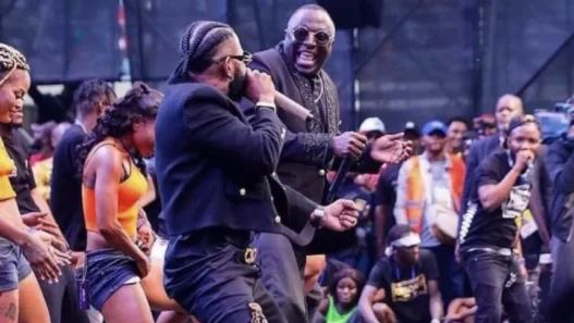 Celeo Scram Ferre Gola
