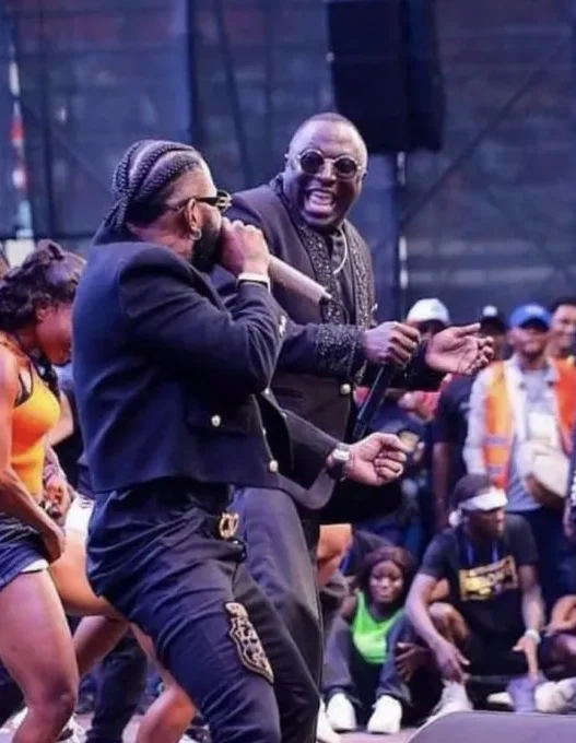 Celeo Scram Ferre Gola