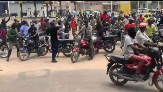 IMG_1324-jpeg.jpeg – Talents2kin