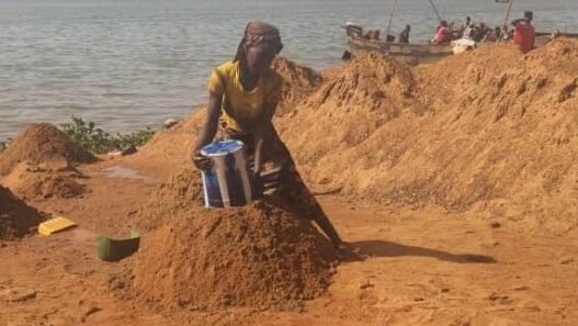 b514098b-6441-40dd-b21c-143e0a4e7c0b-e16256686302802.jpg – Talents2kin