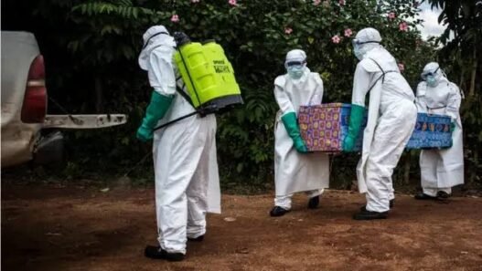 images-63.jpeg – Talents2kin