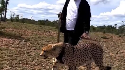 img_0152-1.jpg – Talents2kin