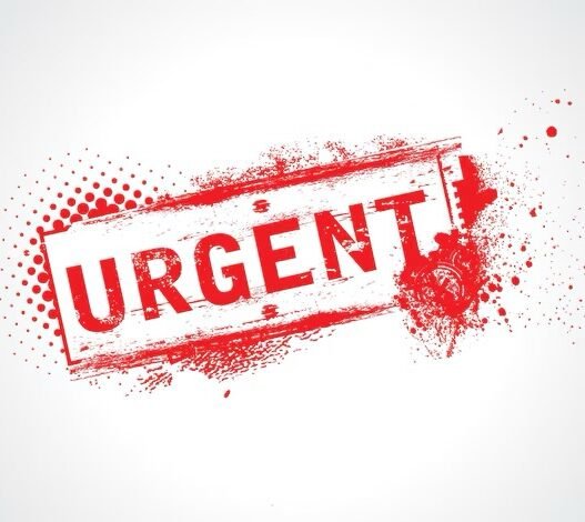 img_0327.jpg – Talents2kin