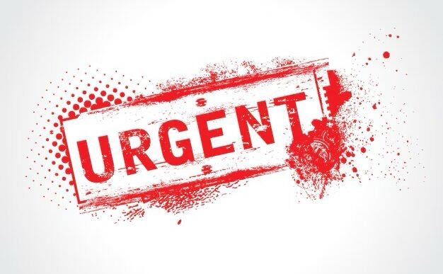 img_0327.jpg – Talents2kin